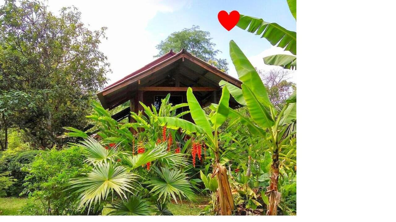 Pencave Homestay Pang Mapha Eksteriør bilde
