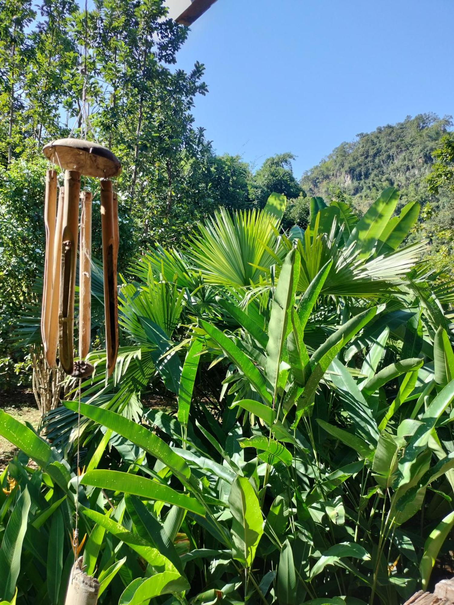 Pencave Homestay Pang Mapha Rom bilde
